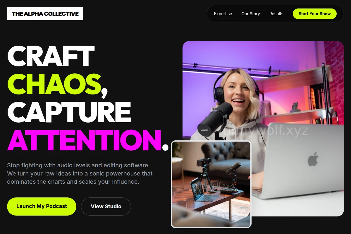 Wave Podcast Production