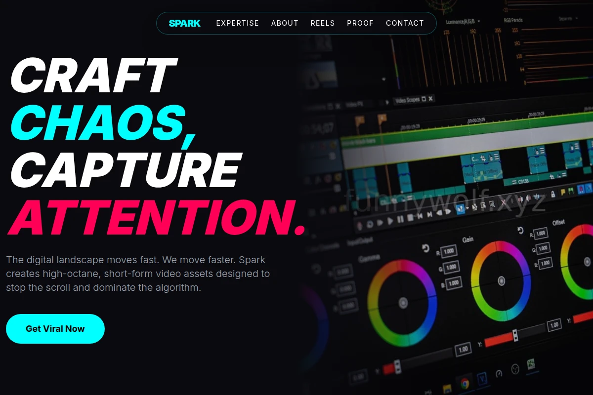 Spark Short Form Video Agency