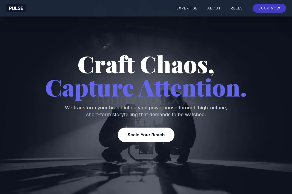 Pulse Short Form Video Agency